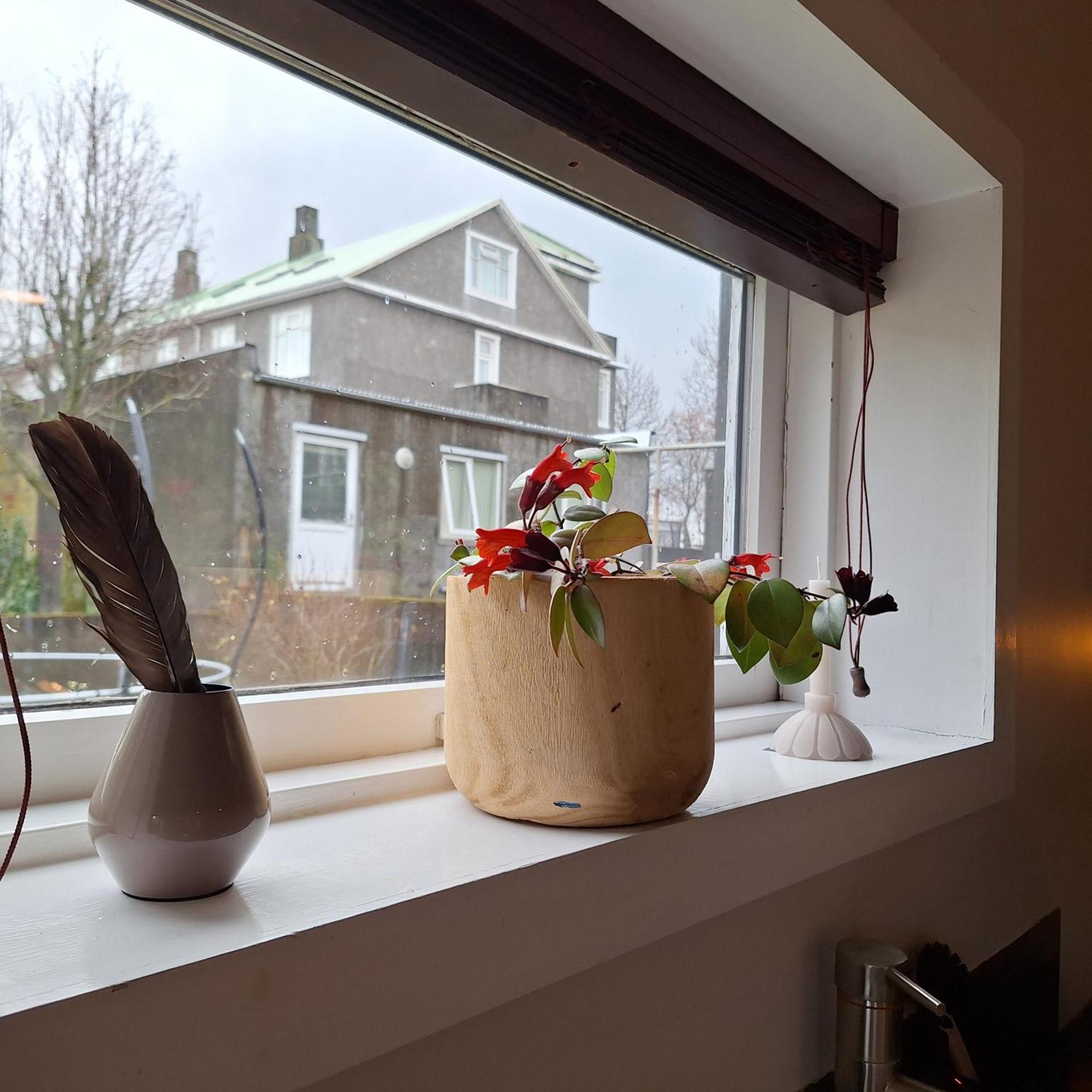 Central Reykjavik - Garden Cottage Екстер'єр фото